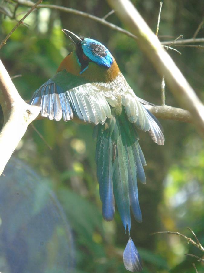 Montana Verde Rivas المظهر الخارجي الصورة