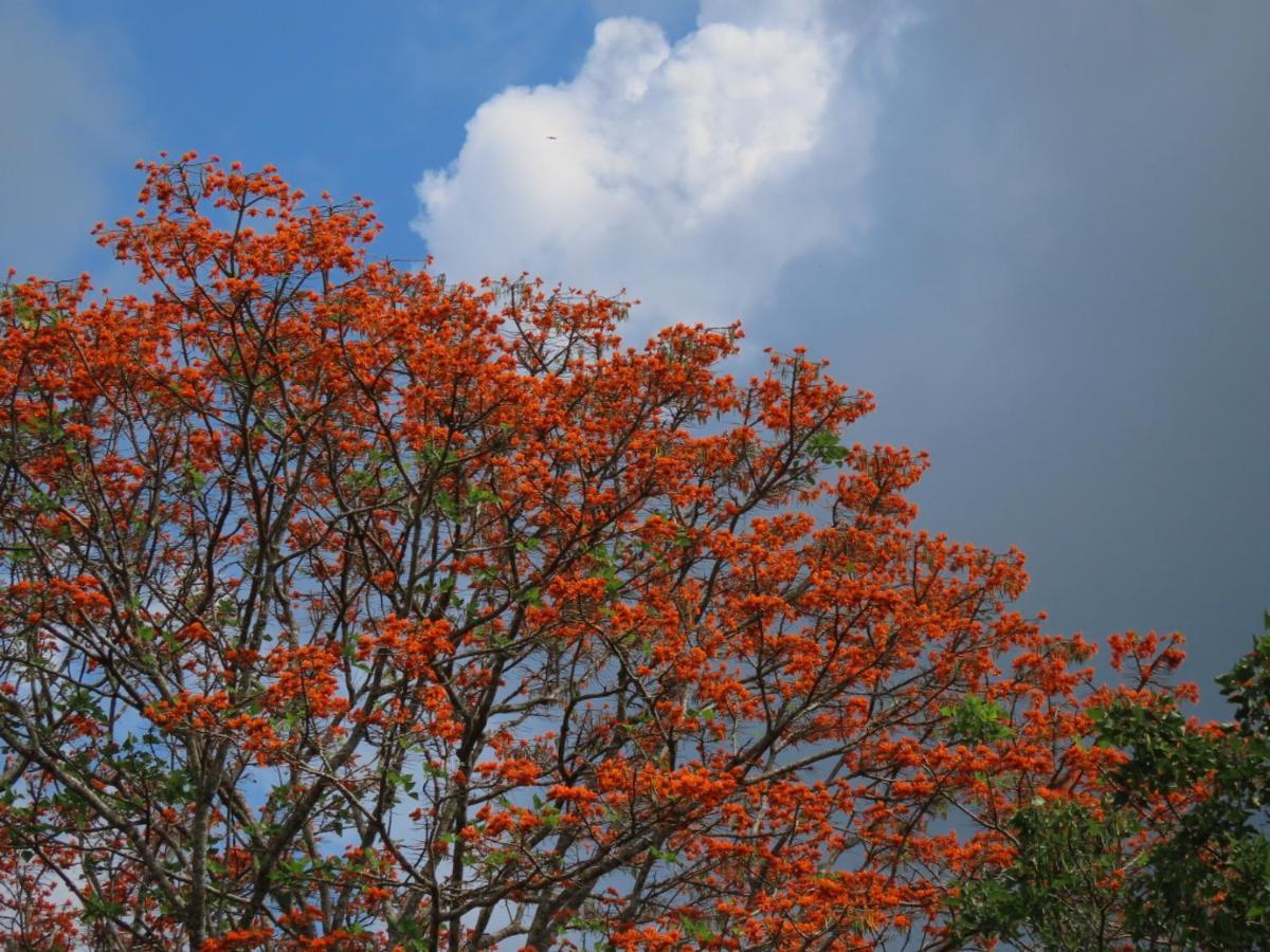 Montana Verde Rivas المظهر الخارجي الصورة