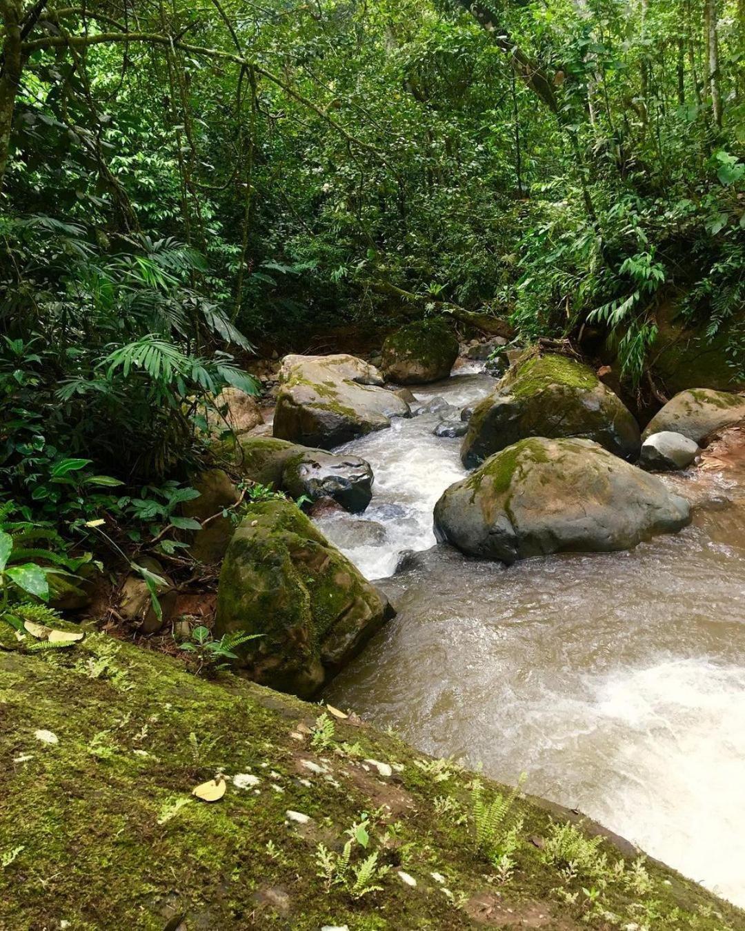 Montana Verde Rivas المظهر الخارجي الصورة