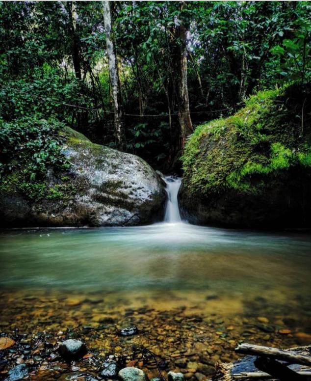 Montana Verde Rivas المظهر الخارجي الصورة